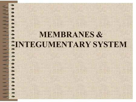 MEMBRANES & INTEGUMENTARY SYSTEM. MEMBRANES Cover surfaces, organs Line body cavities Protect, lubricate Two categories -Epithelial tissue membranes -Connective.