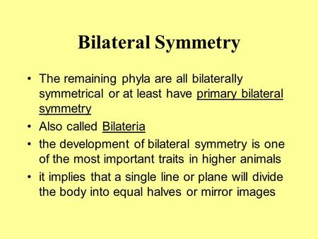 Bilateral Symmetry The remaining phyla are all bilaterally symmetrical or at least have primary bilateral symmetry Also called Bilateria the development.