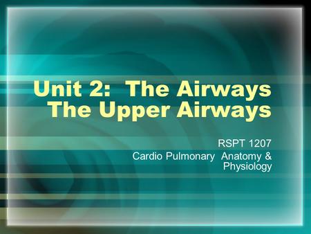Unit 2: The Airways The Upper Airways