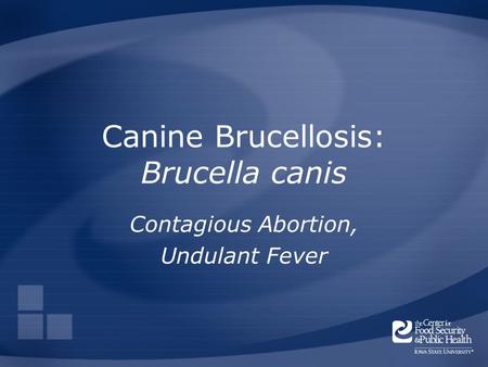 Canine Brucellosis: Brucella canis Contagious Abortion, Undulant Fever.