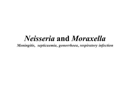 Characteristics of Neisseria and Moraxella