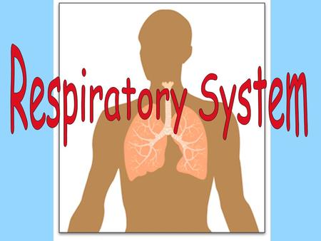 I.RESPIRATION is the process of exchanging gasses between the atmosphere and the body. II.Respiratory organs A. Nose and nasal cavity (the hollow space.