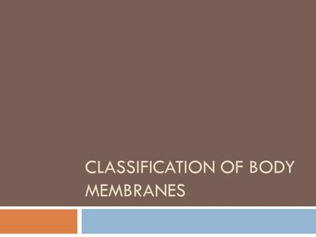 Classification of Body Membranes