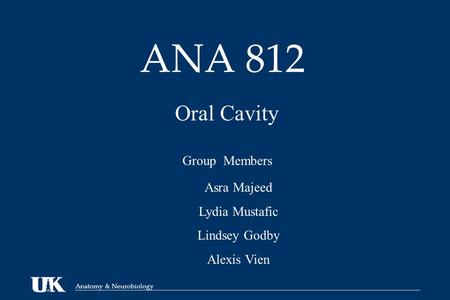 Anatomy & Neurobiology ANA 812 Oral Cavity Group Members Asra Majeed Lydia Mustafic Lindsey Godby Alexis Vien.