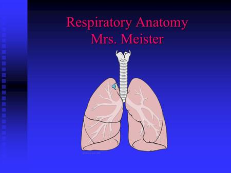 Respiratory Anatomy Mrs. Meister Function Takes in air containing 02 Takes in air containing 02 Removes 02 from the air Removes 02 from the air Sends.