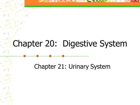 Chapter 20: Digestive System Chapter 21: Urinary System.