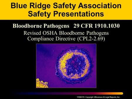 11006115 Copyright  Business & Legal Reports, Inc. Blue Ridge Safety Association Safety Presentations Bloodborne Pathogens 29 CFR 1910.1030 Revised OSHA.
