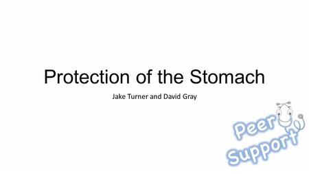 Protection of the Stomach
