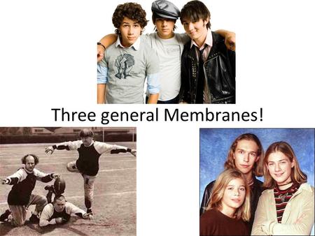 Three general Membranes!