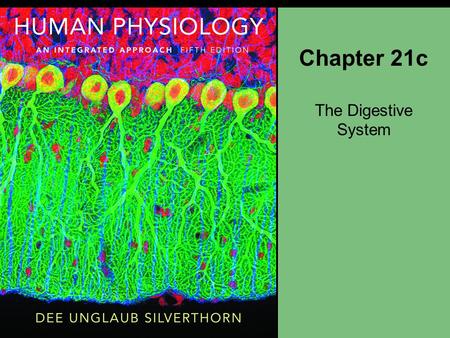 Chapter 21c The Digestive System.