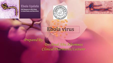 Prepared By: Dr. Amal Abu Alhommos Clinical Pharmacist/Lecturer