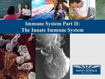 Immune System Part II: The Innate Immune System. Devastation Caused by Pathogens Influenza epidemic 1918-1919 Killed 22 million people in 18 months. Three.
