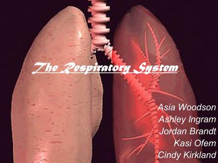 The Respiratory System Asia Woodson Ashley Ingram Jordan Brandt Kasi Ofem Cindy Kirkland.