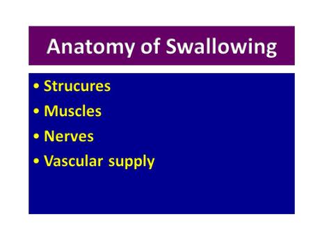 Anatomy of Swallowing Strucures Muscles Nerves Vascular supply.