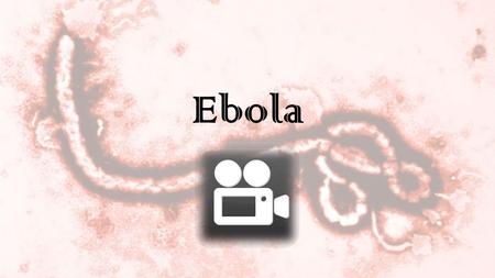 Ebola. What is Ebola?? Ebola is a rare and deadly disease caused by the infection of the Ebola Virus (5 strands) Ebola viruses are found in several African.