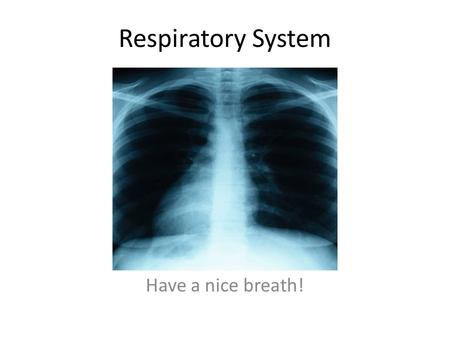 Respiratory System Have a nice breath!.