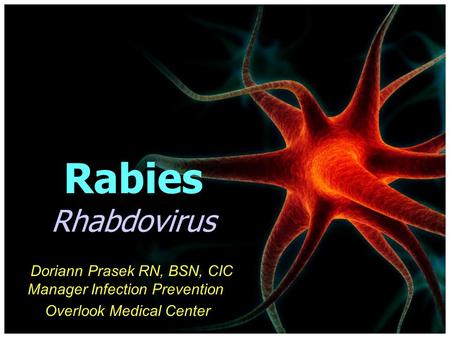 Rabies Rhabdovirus Doriann Prasek RN, BSN, CIC Manager Infection Prevention Overlook Medical Center.