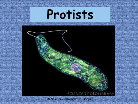 Protists Life Science – January 2013- Hooper. What is a Protist? Protists are eukaryotes (organisms whose cells have a nucleus) that cannot be classified.