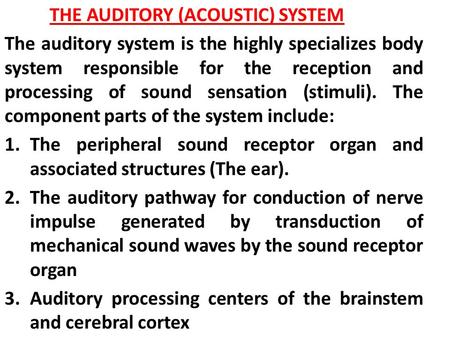 THE AUDITORY (ACOUSTIC) SYSTEM