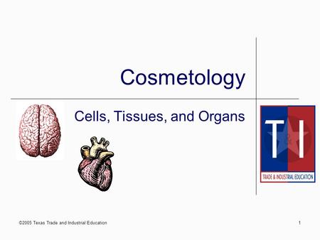 ©2005 Texas Trade and Industrial Education1 Cosmetology Cells, Tissues, and Organs.