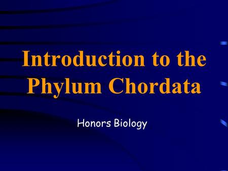 Introduction to the Phylum Chordata