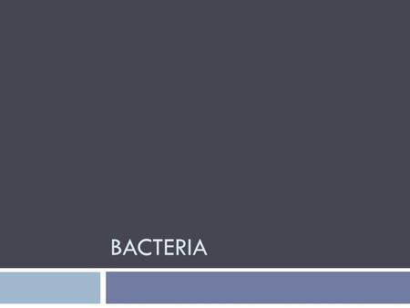 BACTERIA. Bacteria  Small in size, no nucleus or membranous organelles  Cell wall  Cocci  Bacilli  Spirilla  Vibrios  Gram-positive  Gram-negative.