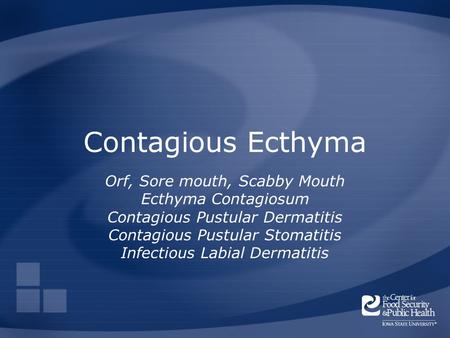 Contagious Ecthyma Orf, Sore mouth, Scabby Mouth Ecthyma Contagiosum Contagious Pustular Dermatitis Contagious Pustular Stomatitis Infectious Labial Dermatitis.