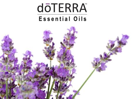 Essential Oils. Did You Know? Lavender is a calming oil, soothing mental stress in adults and children.