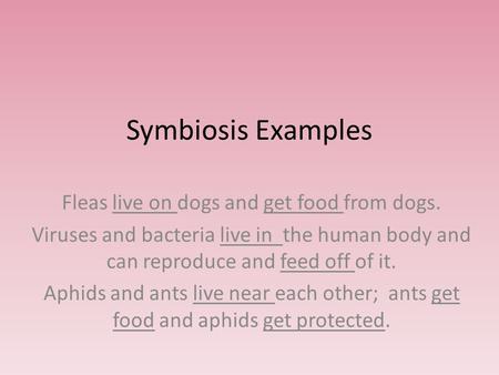 Symbiosis Examples Fleas live on dogs and get food from dogs. Viruses and bacteria live in the human body and can reproduce and feed off of it. Aphids.