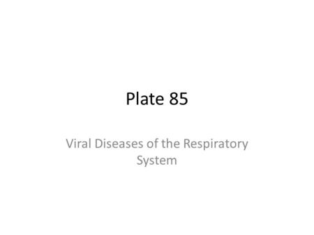 Plate 85 Viral Diseases of the Respiratory System.
