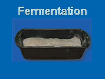 Fermentation.