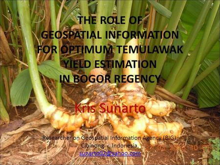 THE ROLE OF GEOSPATIAL INFORMATION FOR OPTIMUM TEMULAWAK YIELD ESTIMATION IN BOGOR REGENCY Kris Sunarto Researcher on Geospatial Information Agency (BIG),
