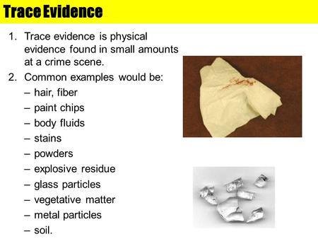 Trace Evidence 1.Trace evidence is physical evidence found in small amounts at a crime scene. 2.Common examples would be: –hair, fiber –paint chips –body.
