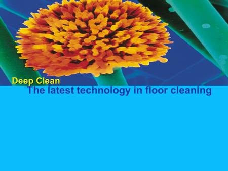 Deep Clean The latest technology in floor cleaning.