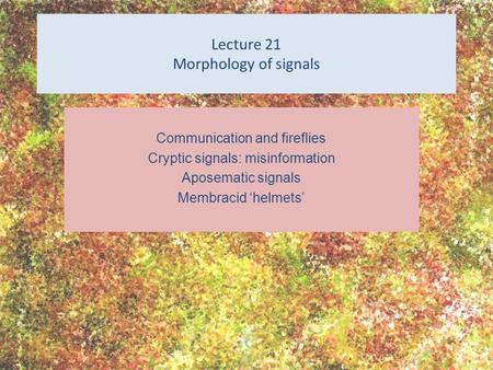 Lecture 21 Morphology of signals Communication and fireflies Cryptic signals: misinformation Aposematic signals Membracid ‘helmets’
