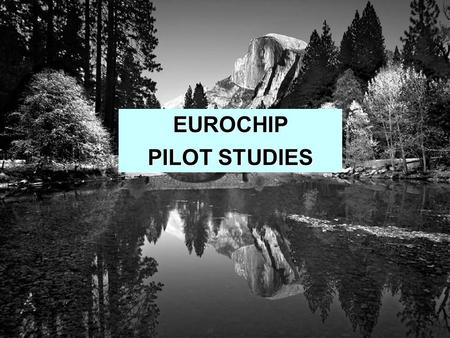 EUROCHIP PILOT STUDIES. Collection of detailed clinical information for specific tumours Describing and comparing care in representative samples of cancer.