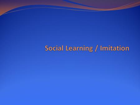 Social Learning / Imitation