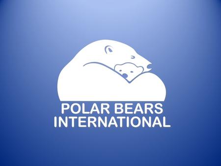 A Future in Jeopardy Polar Bears in a Warming World: