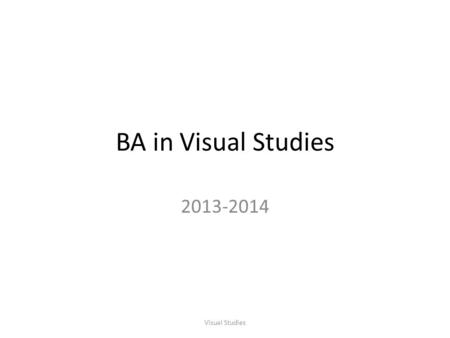 BA in Visual Studies 2013-2014 Visual Studies. Why VS? 1.Because you are interested in the visual arts (painting, drawing, sculpture, photography, film,
