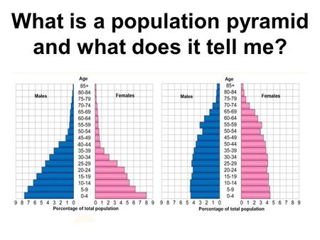 What is a population pyramid and what does it tell me?
