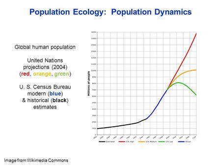 Population Ecology: Population Dynamics Image from Wikimedia Commons Global human population United Nations projections (2004) (red, orange, green) U.