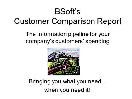 BSoft’s Customer Comparison Report The information pipeline for your company’s customers’ spending Bringing you what you need.. when you need it!