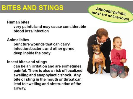 Human bites very painful and may cause considerable blood loss/infection Animal bites puncture wounds that can carry infection/bacteria and other germs.