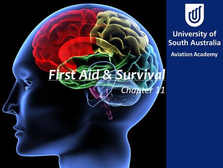 First Aid & Survival Chapter 11. AIM To undersand the treatment of common ailments in flight and how to increase chances of survival following an accident.