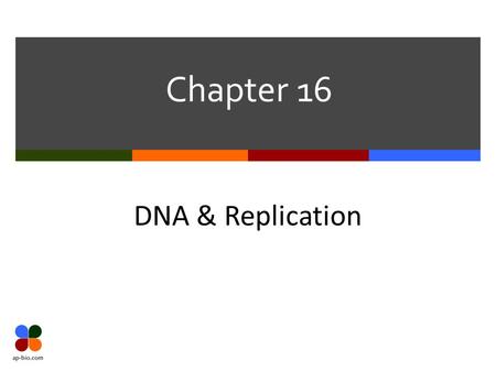 Chapter 16 DNA & Replication. Slide 2 of 24 Bell Ringer 1. On a sheet of paper 2. Write down everything you know about DNA -- Who discovered DNA? -- What.