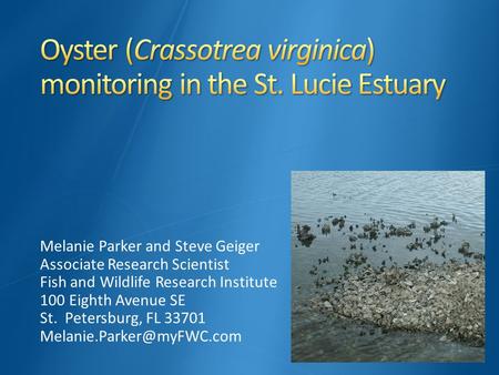 Melanie Parker and Steve Geiger Associate Research Scientist Fish and Wildlife Research Institute 100 Eighth Avenue SE St. Petersburg, FL 33701