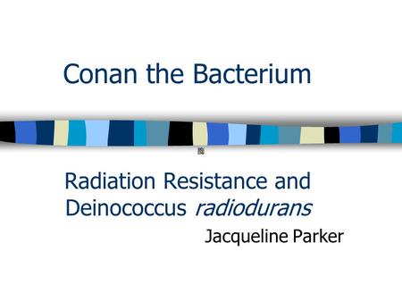 Conan the Bacterium Radiation Resistance and Deinococcus radiodurans Jacqueline Parker.