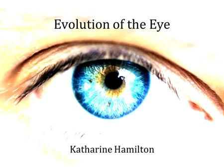 Evolution of the Eye Katharine Hamilton. The First Eye on Earth Trilobite, 543 million years ago.