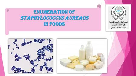 Enumeration of Staphylococcus aureaus in Foods. Description  The method has been shown to produce satisfactory results with naturally-contaminated meats,