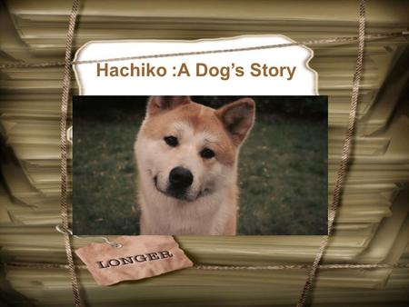 Hachiko :A Dog’s Story.